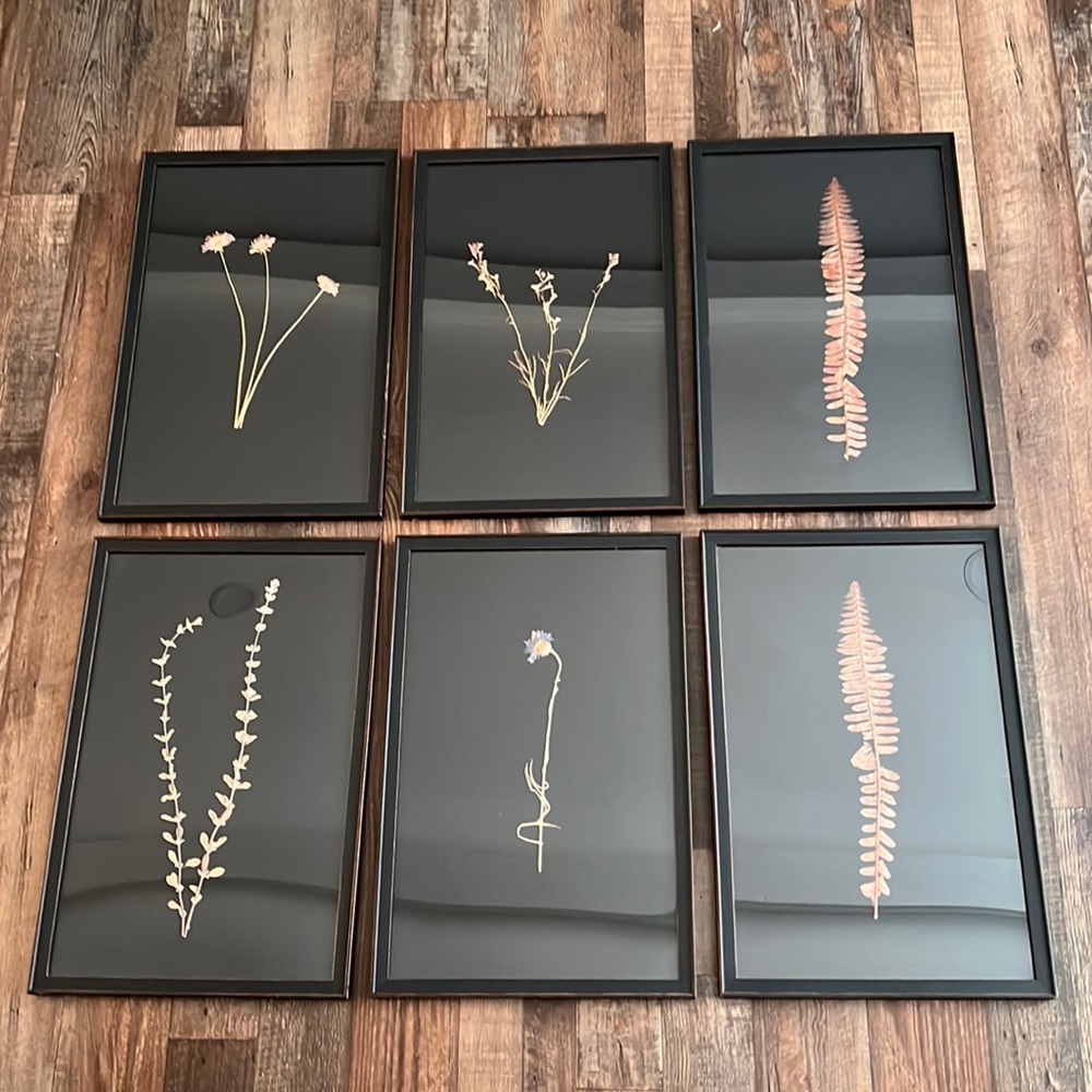 COPY - Restoration Hardware hand pressed botanicals on black linen.set of 6